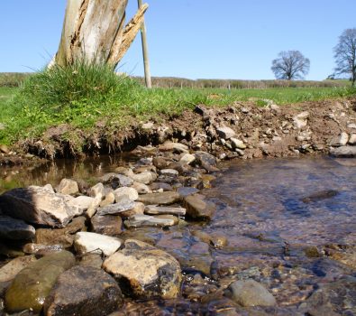 Babbling brooks to splash in! Rock Dam